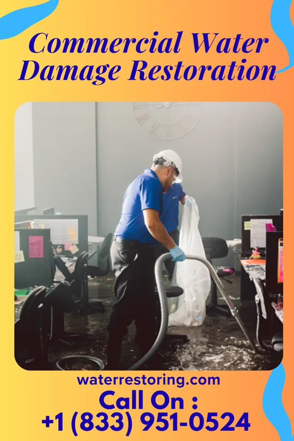 Commercial Water Damage Restoration in Winside, NE